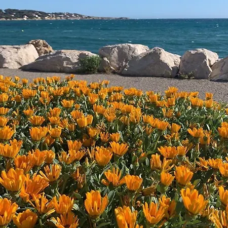 De La Marina Sanary-sur-Mer